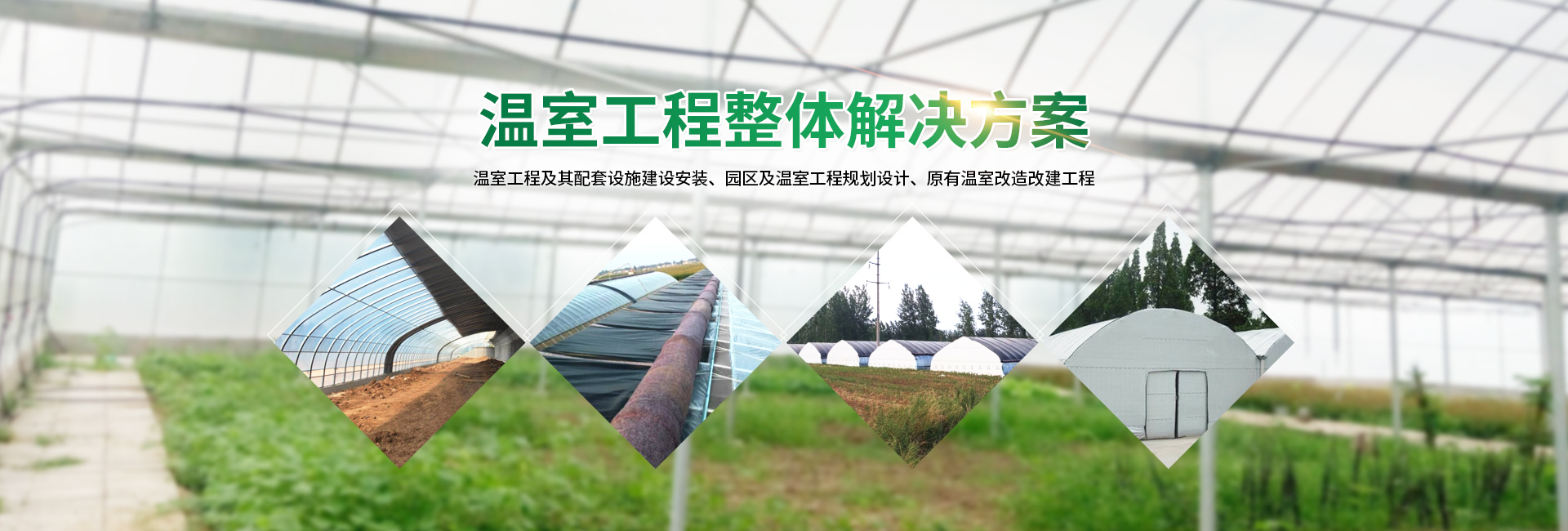 安阳市银丰农业科技有限公司_PC